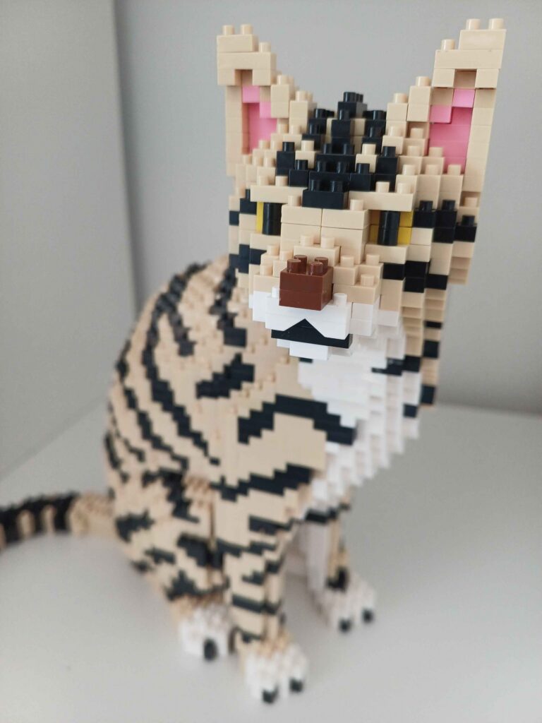 Katze Front