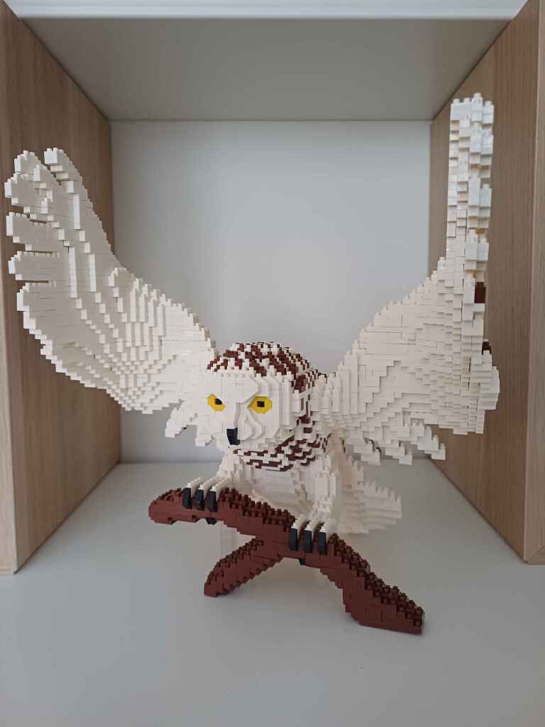 Schneeeule_Front